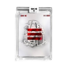 Load image into Gallery viewer, DJ Skee Collection: BR3